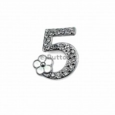 Number 5 Sterling Silver Color Brooch BRS0018